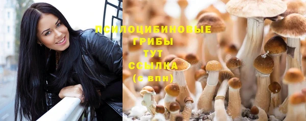 таблы Богородицк