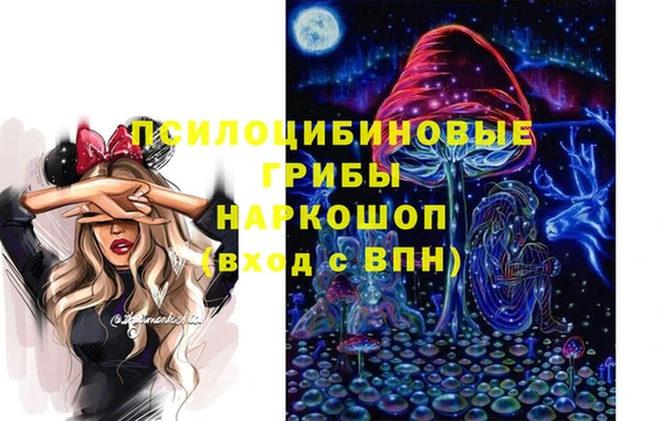 таблы Богородицк