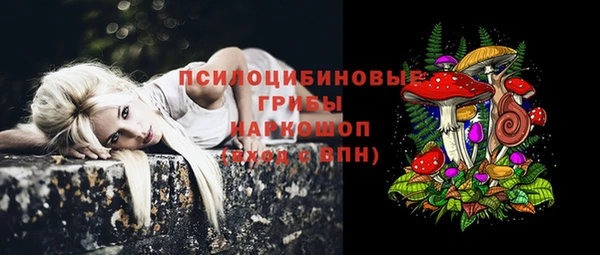 гидропоника Богданович