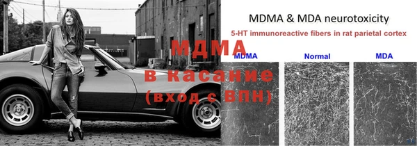 ПСИЛОЦИБИНОВЫЕ ГРИБЫ Струнино
