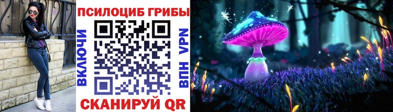 Псилоцибиновые грибы Psilocybe  Константиновск 
